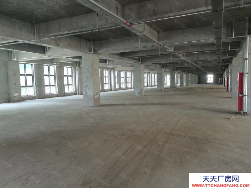 (出租) 西安長安區(qū)郭杜十字附近5000平正規(guī)園區(qū)廠房出租出售