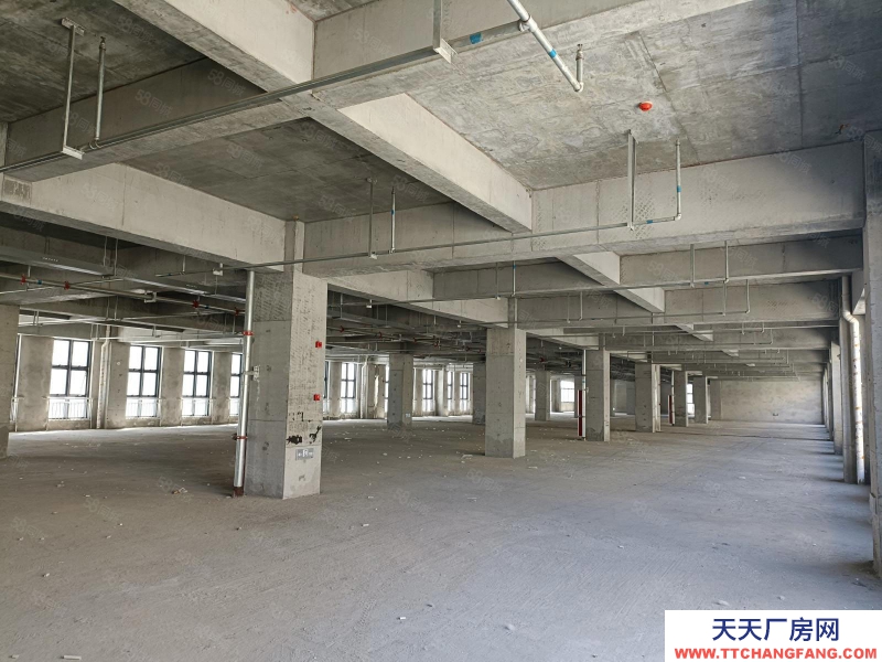 (出租) 西安長安郭杜街道 全新標準廠房 首層8米 獨棟兩層 面積可分割