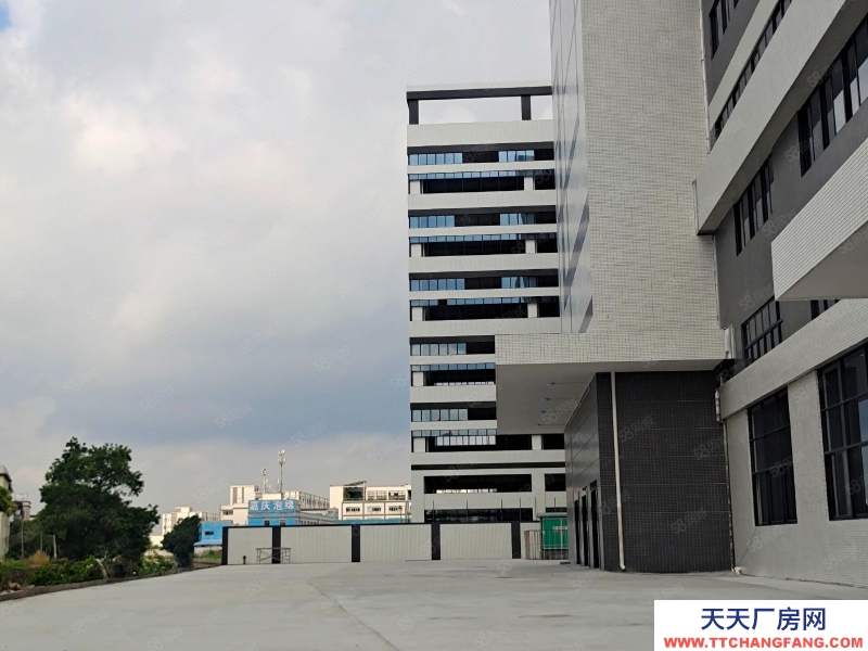 (出租) 中山東鳳自建全新廠房招租