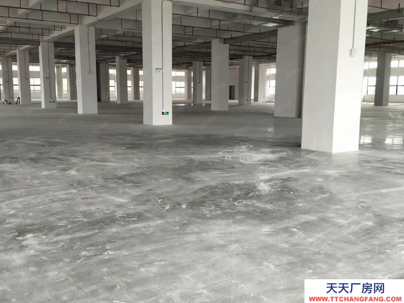 (出租) 中山東鳳電子城60000平方紅本廠房出租 ，租金10元，大小分租