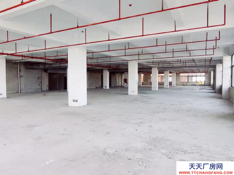 (出租) 中山東鳳電子城60000平方紅本廠房出租 ，租金10元，大小分租