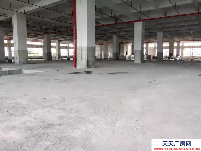 (出租) 中山東鳳電子城60000平方紅本廠房出租 ，租金10元，大小分租