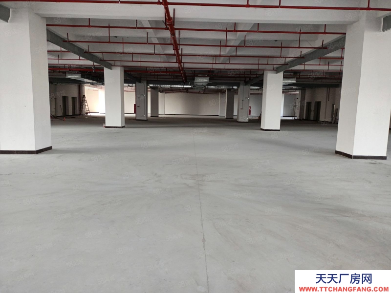 (出租) 中山東鳳電子城旁全新廠房每層3000,500方起分,房東包裝修