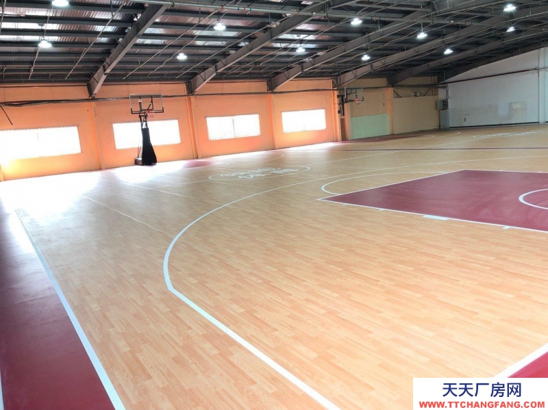 (出租) 西安新城標準籃球場地，4個籃板可升降。