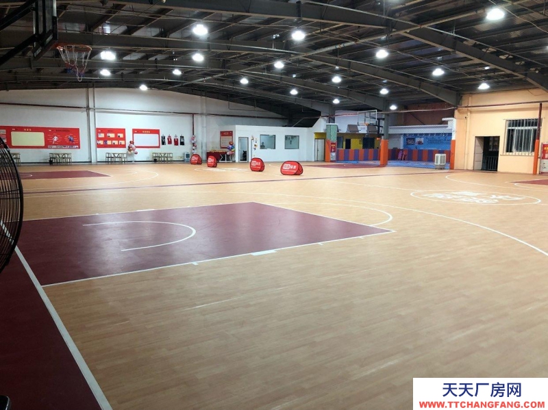 (出租) 西安新城標準籃球場地，4個籃板可升降。