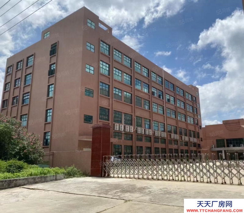 (出租) 中山橫欄鎮 新出標準廠房 工業園區大小面積隨意分租 廠房倉庫出租