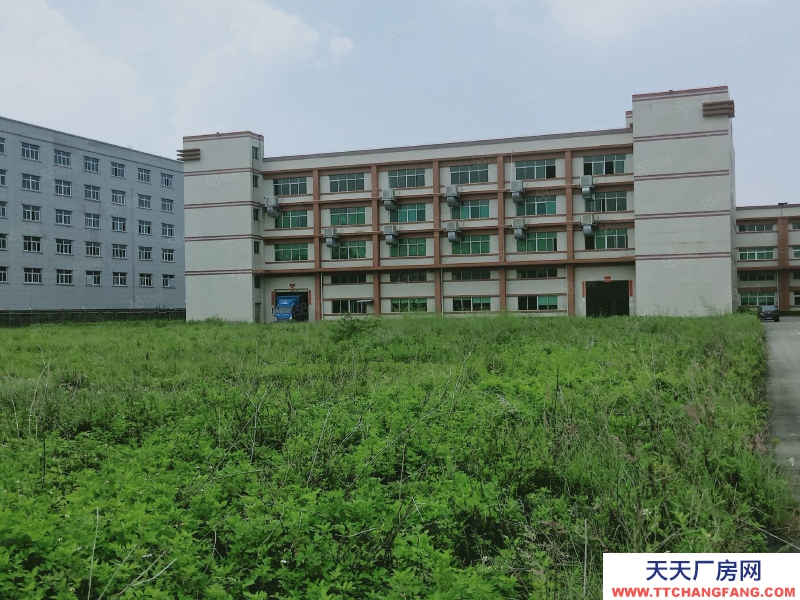 (出租) 中山橫欄工業園16000平大小可分 紅本原房東廠房出租 大空地