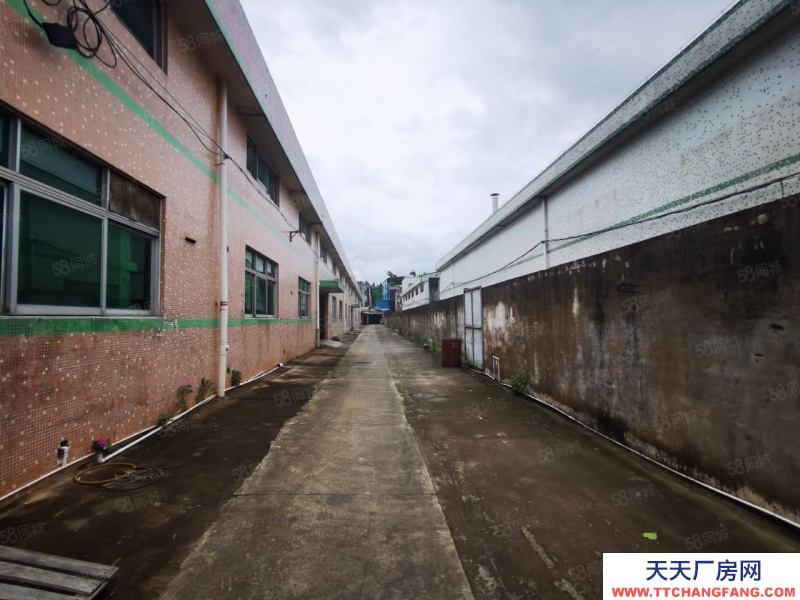 (出租) 中山南頭阜沙獨門獨院紅本廠房9798方出租，交通便利可辦環評