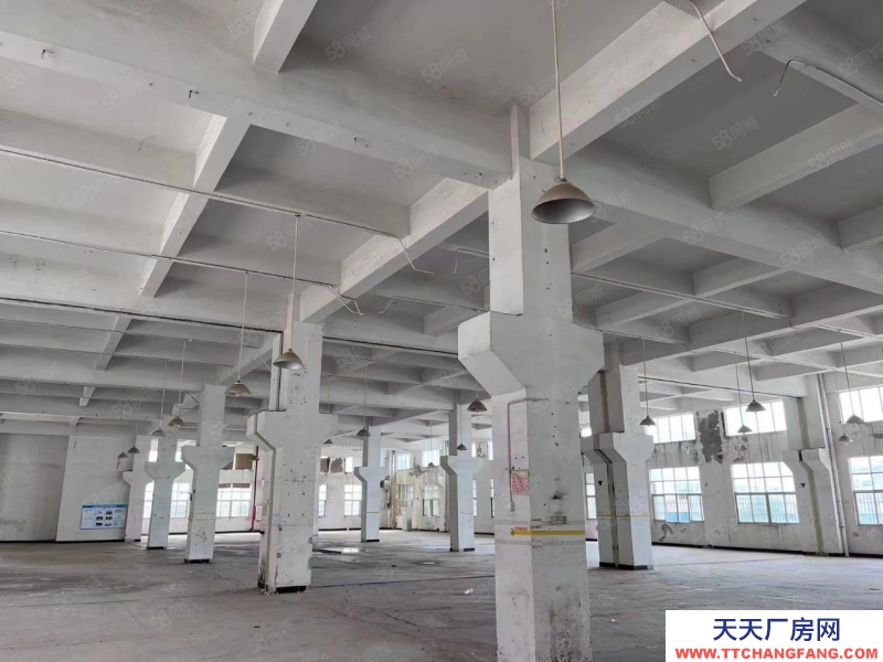 (出租) 中山南頭阜沙獨門獨院紅本廠房9798方出租,交通便利可辦環評