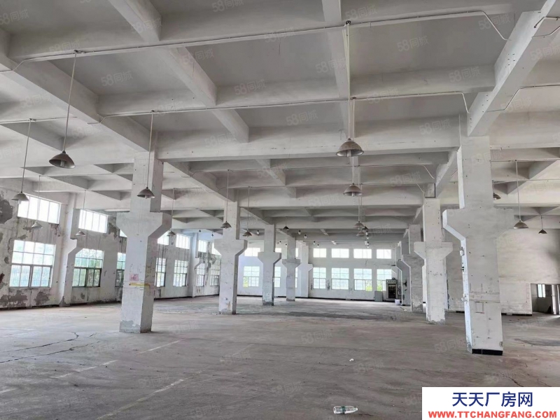 (出租) 中山南頭阜沙獨門獨院紅本廠房9798方出租,交通便利可辦環評