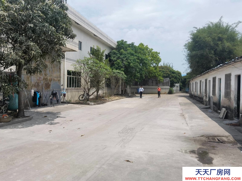 (出租) 中山南頭獨院單層廠房1000平米，帶行車，12米高，院子大，好進大車