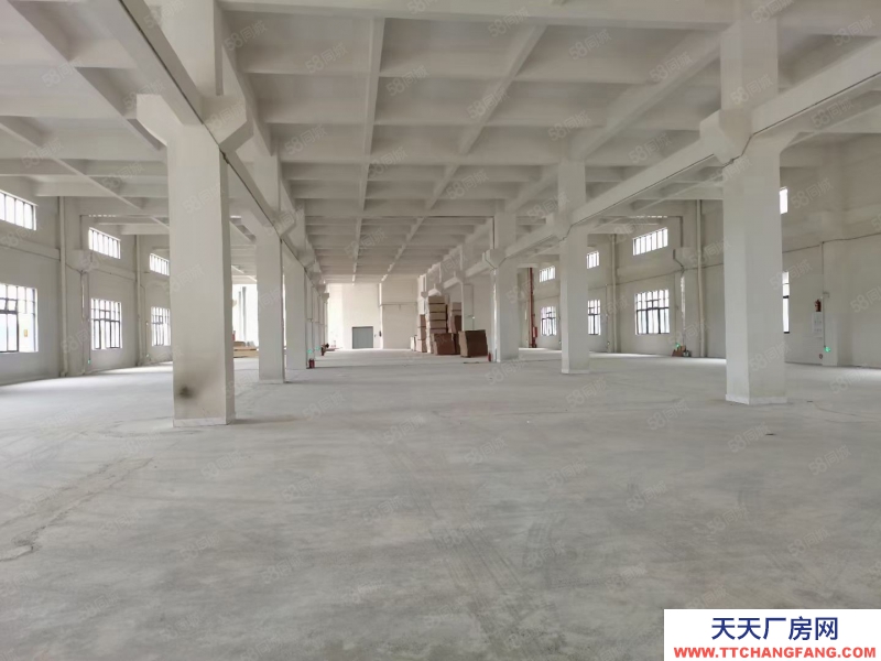 (出租) 中山南頭鎮獨院標準樓房15,000平米廠房出租可分租