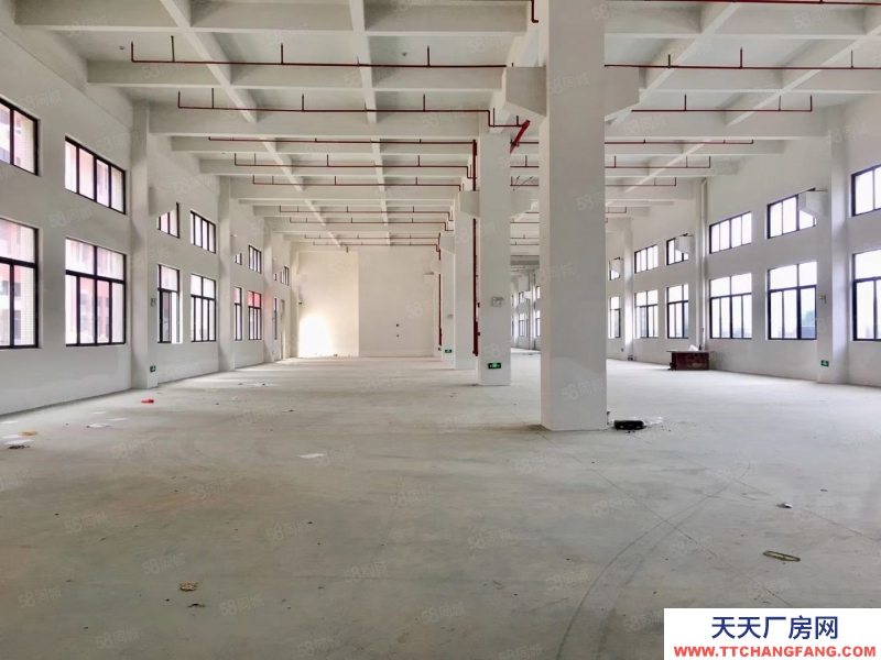 (出租) 中山南頭鎮(zhèn)全新獨(dú)院標(biāo)準(zhǔn)樓房獨(dú)院18,000平米廠房出租可分租