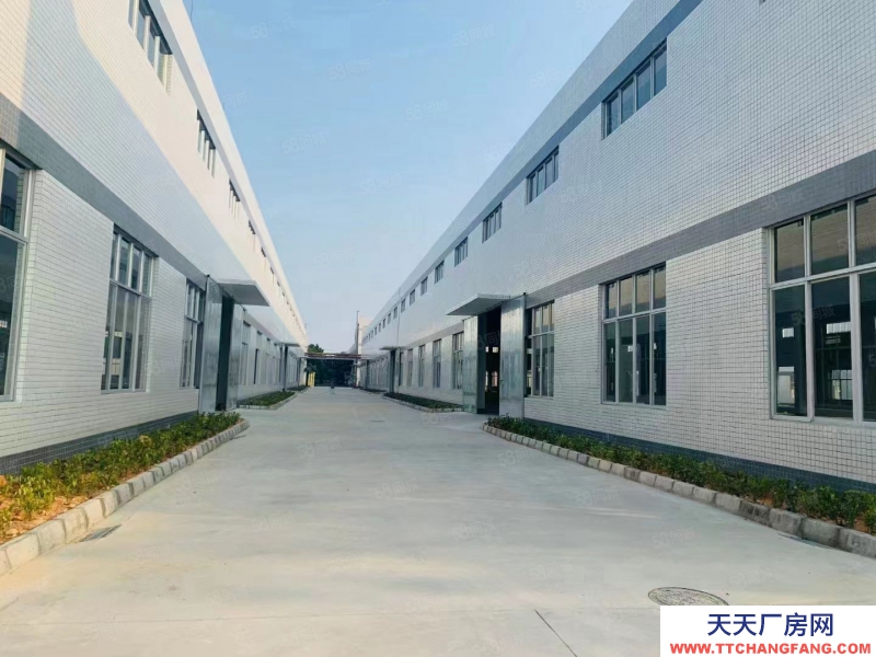 (出租) 中山三角化工區包環評廠房，500平起租