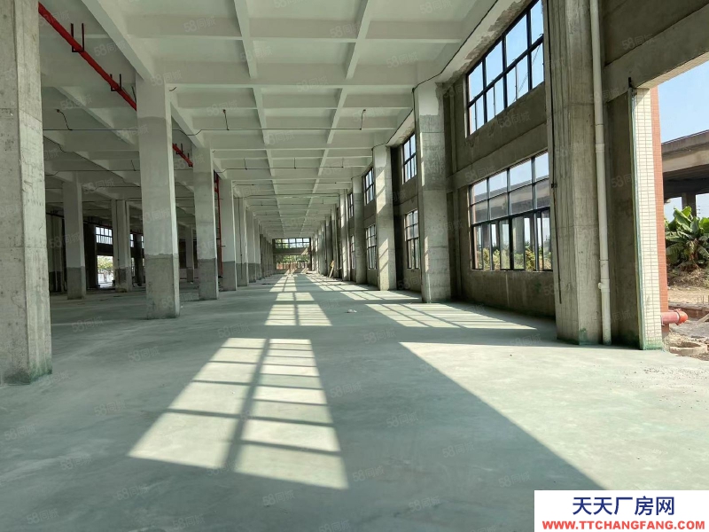 (出租) 中山三角化工區包環評廠房,500平起租