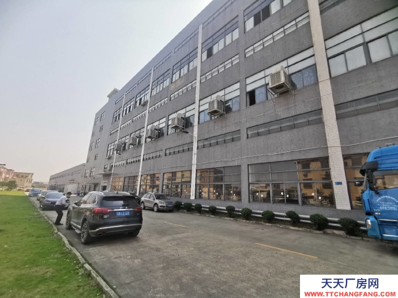 (出租) 中山三角新出原房東標準廠房2500平帶現成裝修閣樓可辦環評高8米