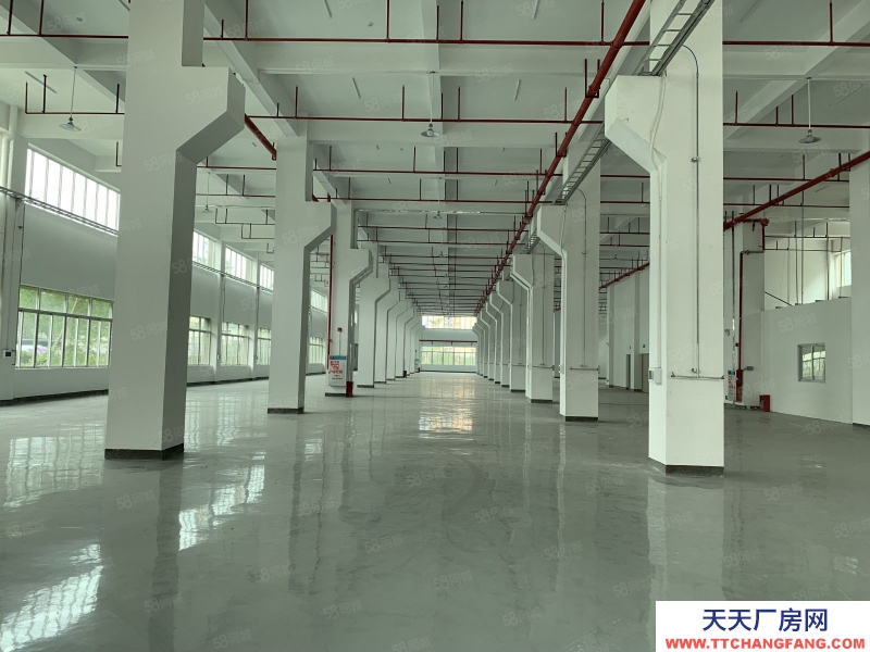 (出租) 中山三角區獨門獨院41800平方廠房出租