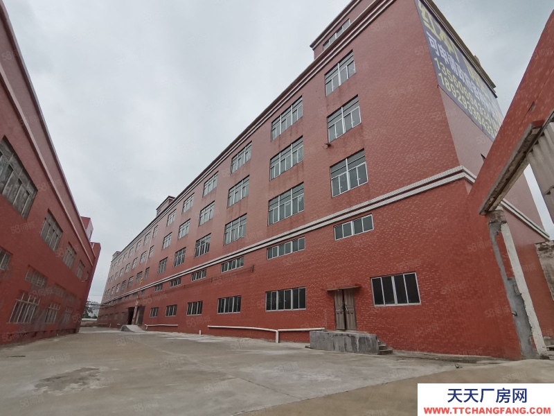 (出租) 中山三角區火炬原房東成熟工業區 空地超大 工業用地可辦環評