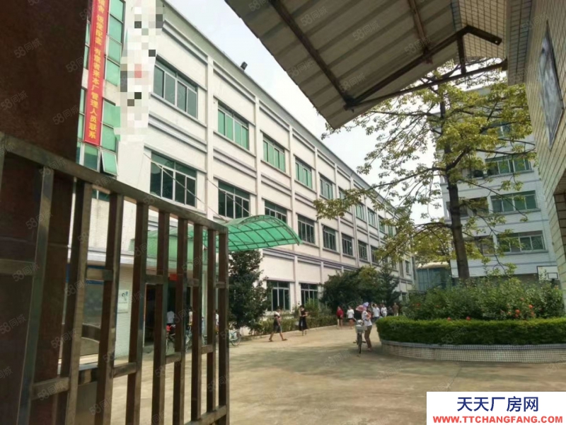 (出租)中山 黃圃鎮標準樓房一樓廠房2800平米出租可分租