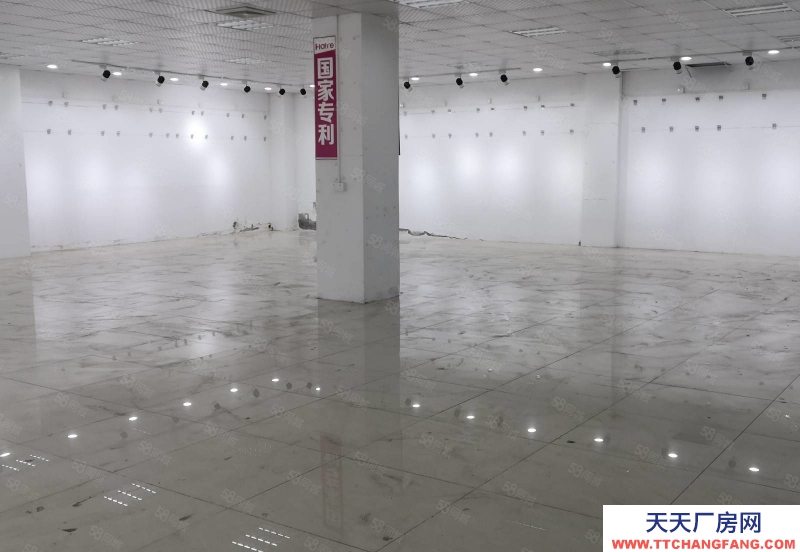 (出租) 中山黃圃可辦環評!黃圃原房東標準廠房500~6000平方出租,可分租