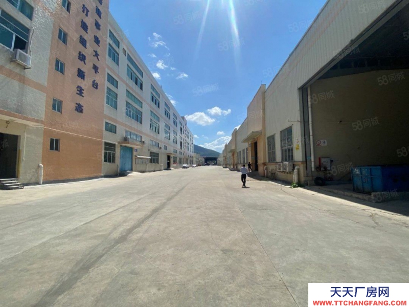 (出租) 中山板芙紅本廠房原房東直租獨院中高9米，空地超大可分租