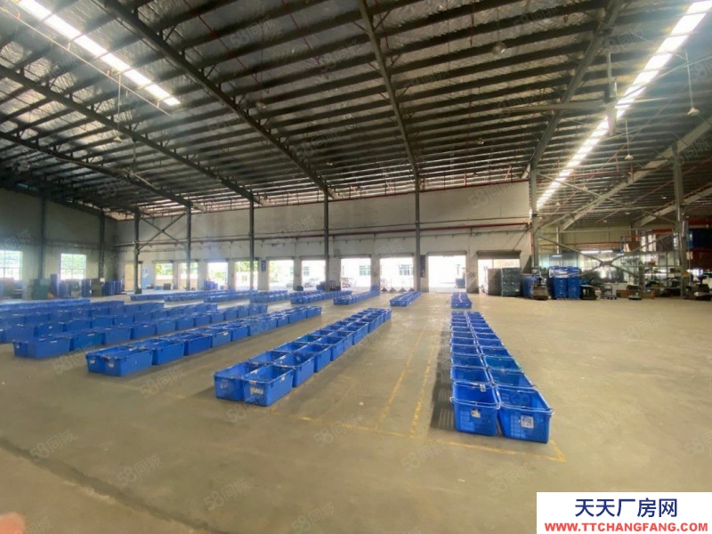 (出租) 中山板芙紅本廠房原房東直租獨院中高9米,空地超大可分租