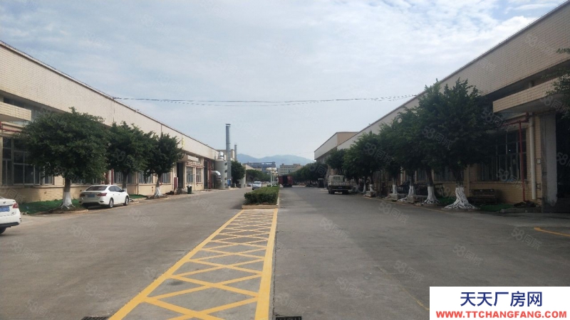 (出租) 中山板芙獨院紅本廠房精裝修15000方,12米高,無行業限制