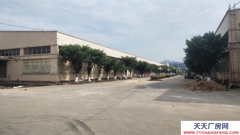 (出租) 中山板芙獨院紅本廠房精裝修15000方，12米高，無行業限制