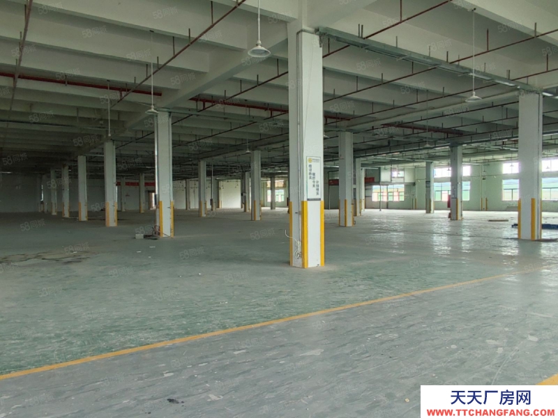 (出租) 中山板芙獨院紅本廠房精裝修15000方,12米高,無行業限制