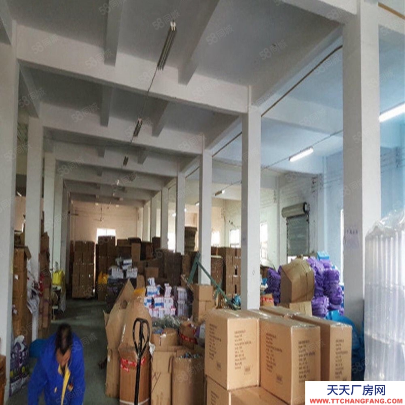 寧波鄞州(出租) 近南商，姜山工業園區方方正正5200平廠房，大路邊，進出方便