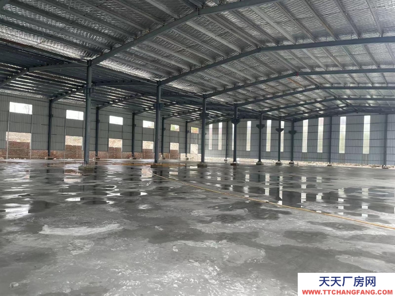 (出租)西安周至 新建成單層鋼結(jié)構(gòu)