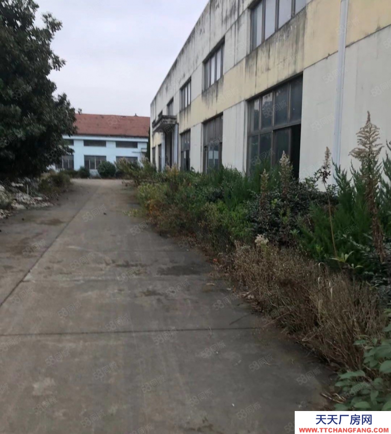 寧波象山(出租) 象山西周鎮(zhèn)獨(dú)棟廠房出租2000平，高5米，位置好