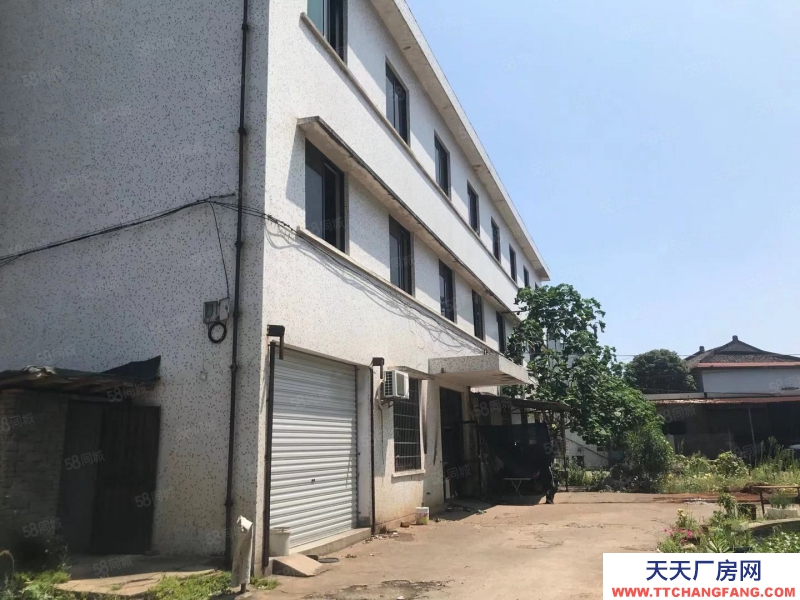 寧波象山(出租) 象山西周鎮獨棟廠房出租2000平，高5米，位置好