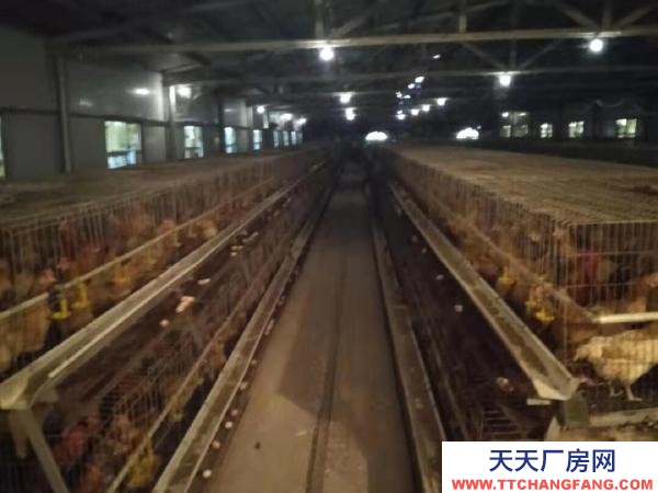 衡陽市衡東縣 廠房分a.b兩部分，共計1500平方，水電齊全，價格面議。