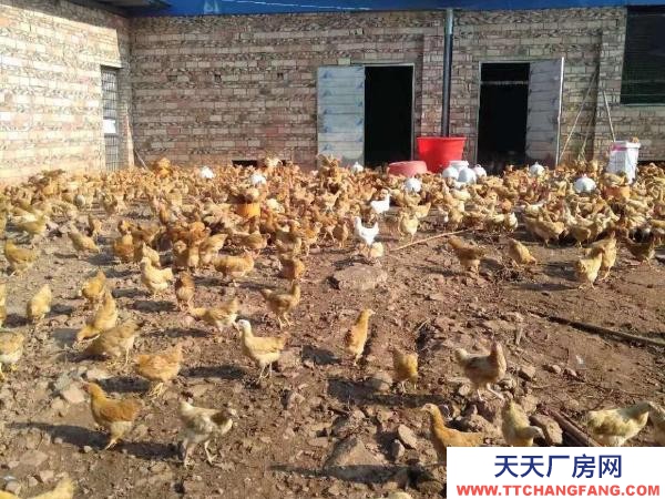 衡陽市衡東縣 廠房分a.b兩部分，共計1500平方，水電齊全，價格面議。