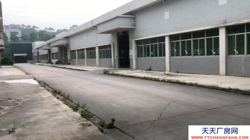 (出租) 中山五桂山鋼結(jié)構(gòu)單一層10000平方廠房出租 滳水7米可辦評(píng)