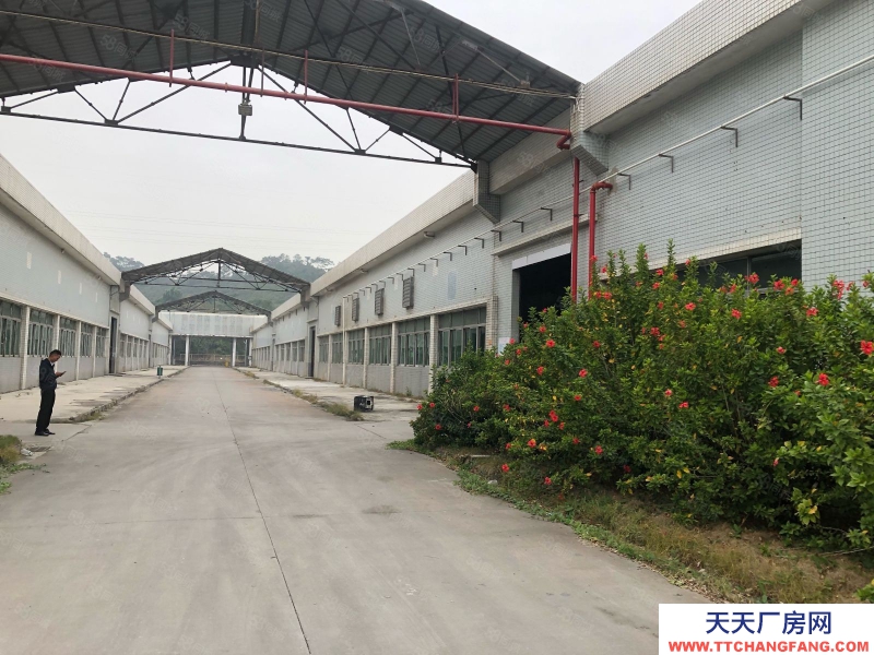 (出租) 中山五桂山鋼結(jié)構(gòu)單一層10000平方廠房出租 滳水7米可辦評(píng)