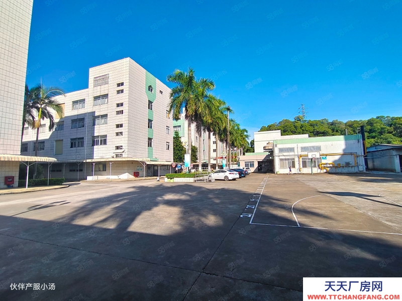 (出租) 中山大涌新出花園式標準廠房1200平現成精裝修空地大大小面積可分