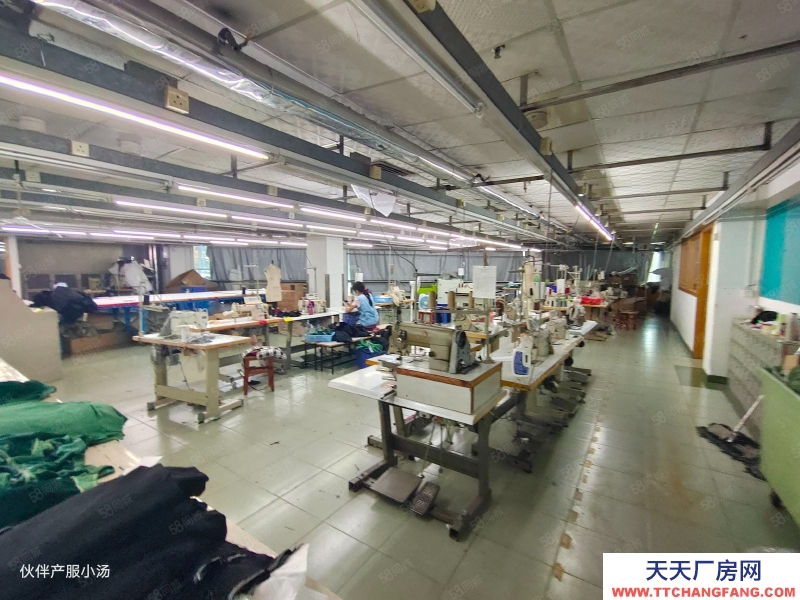 (出租) 中山大涌新出花園式標準廠房1200平現成精裝修空地大大小面積可分