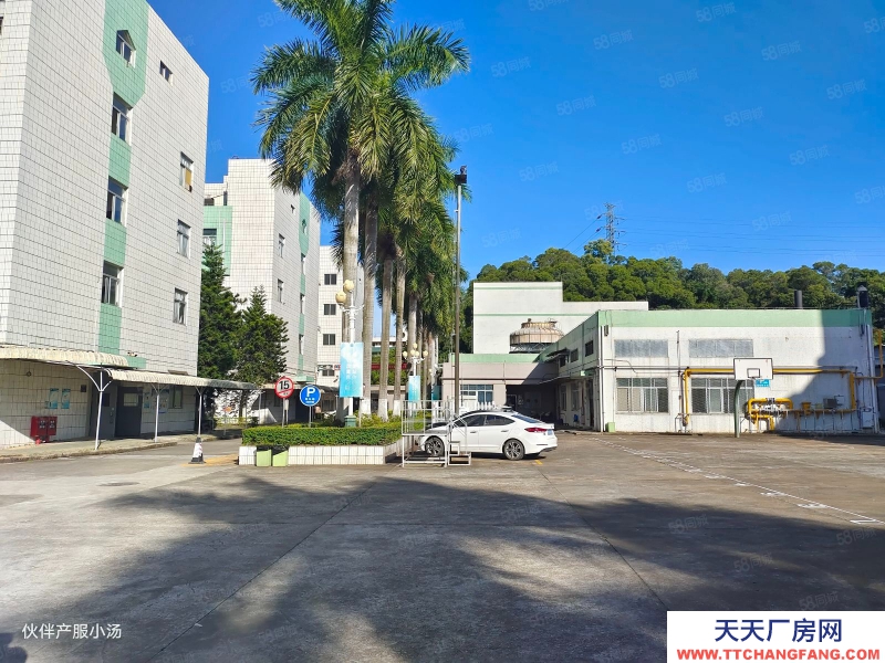 (出租) 中山大涌新出花園式標準廠房1200平現成精裝修空地大大小面積可分