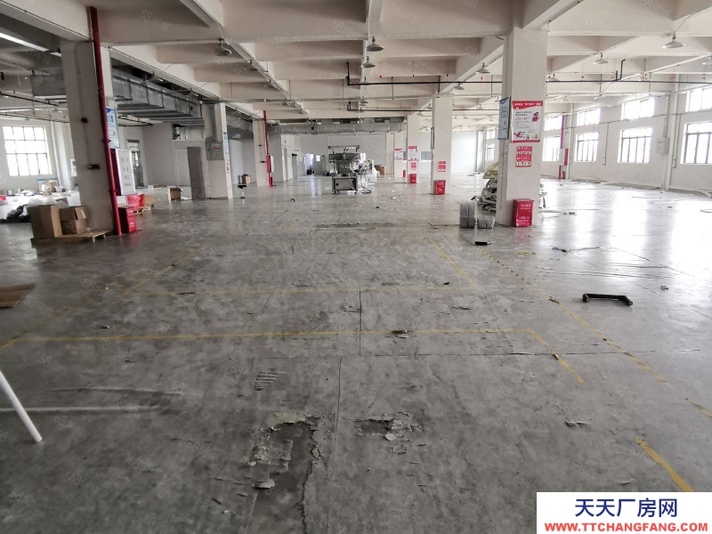 (出租) 中山市大涌鎮(zhèn)南文社區(qū)標準廠房(1800方)帶現(xiàn)成家具環(huán)評噴漆