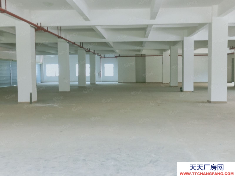 (出租) 中山大涌鎮(zhèn)30000平大小可分帶紅本工業(yè)園一樓倉(cāng)庫(kù)出租廠房出租