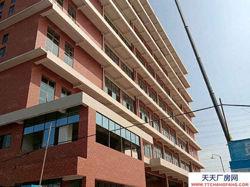 (出租) 中山阜沙 原 房 東 全新標準廠出租