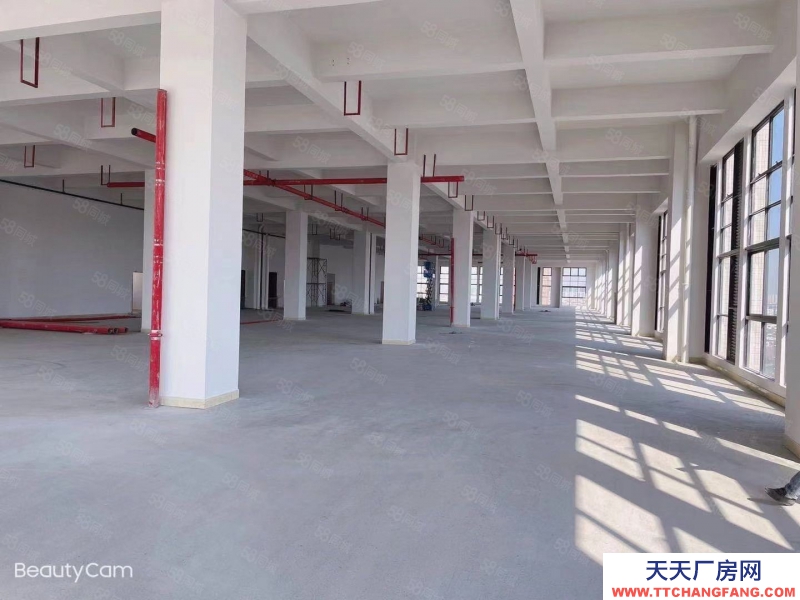 (出租) 中山阜沙 原 房 東 全新標(biāo)準(zhǔn)廠出租