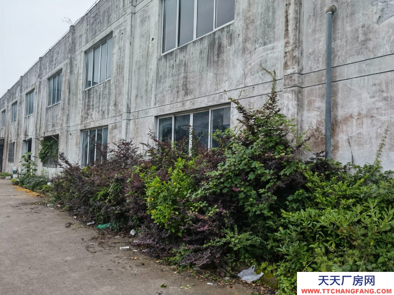 寧波象山(出售) 城區旁工業園區標準廠房！4000平方交通方便