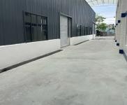 (出租) 彭山1500平方米全新標準廠房房東對外直租，無中介。