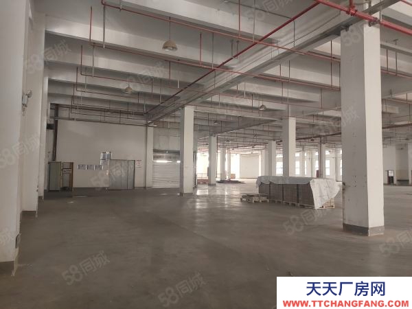 無錫錫山區 鵝湖工業區 新廠房出租，三層12000平，可分租價格便宜