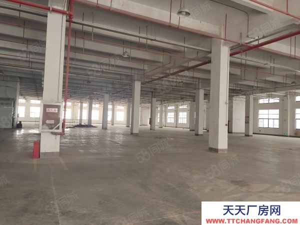 無錫錫山區 鵝湖工業區 新廠房出租，三層12000平，可分租價格便宜