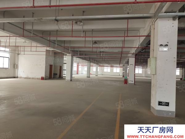 無錫錫山區 鵝湖工業區 新廠房出租，三層12000平，可分租價格便宜