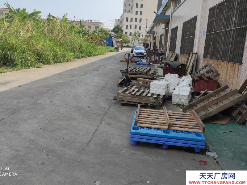 (出租) 中山市阜沙鎮獨院單層廠房5500平方出租,還有4000方空地